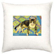 CAT-2-O-Cushion