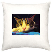 CAT-2-F-Cushion